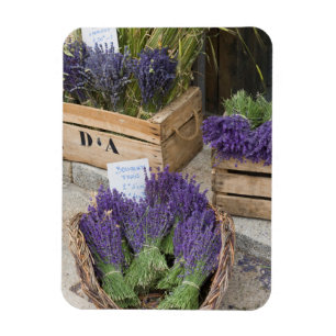 Lavendar for sale, Provence, France Magnet