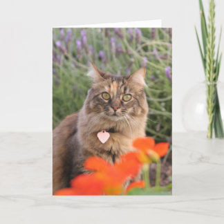 Lavendar, Nasturtium, and a Tortoiseshell Cat Card