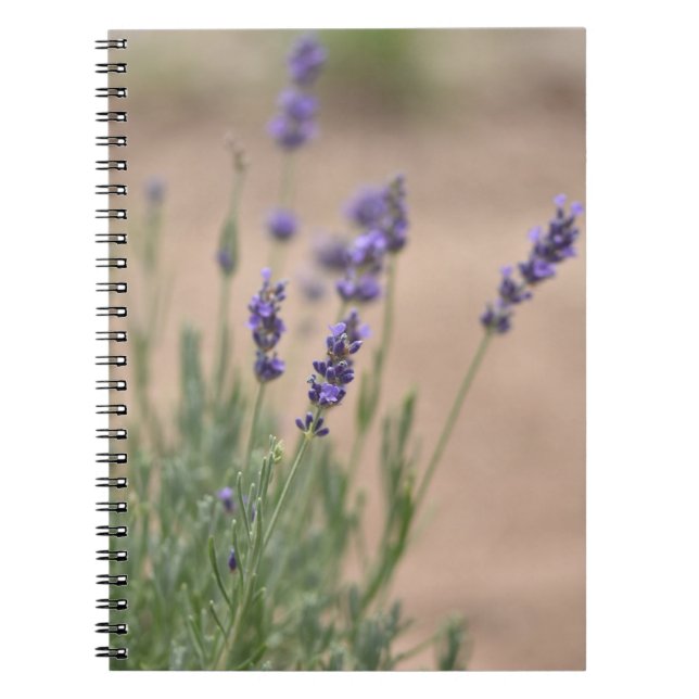 Lavendar Notebook/Journal Notebook (Front)