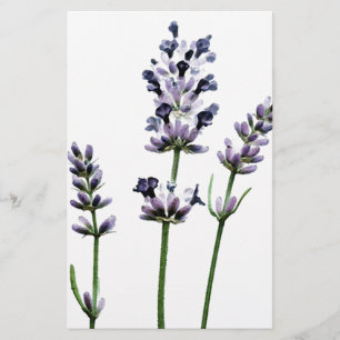 Lavendar Purple Floral Flowers Pastel