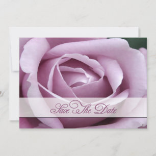 Lavendar Rose Save the date