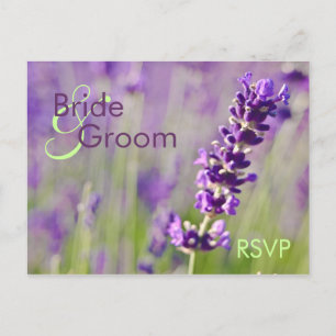 Lavendar • RSVP Postcard