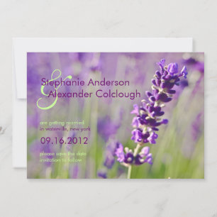 Lavendar • Save the Date Announcement