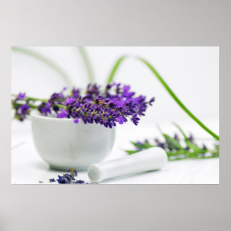 Lavendel Duft Poster