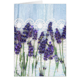 lavender background