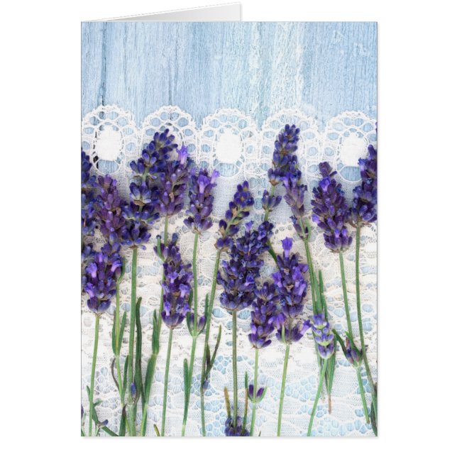lavender background (Front)