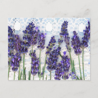 lavender background postcard