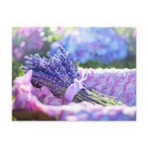 Lavender Basket Purple Spring Meadow Postcard