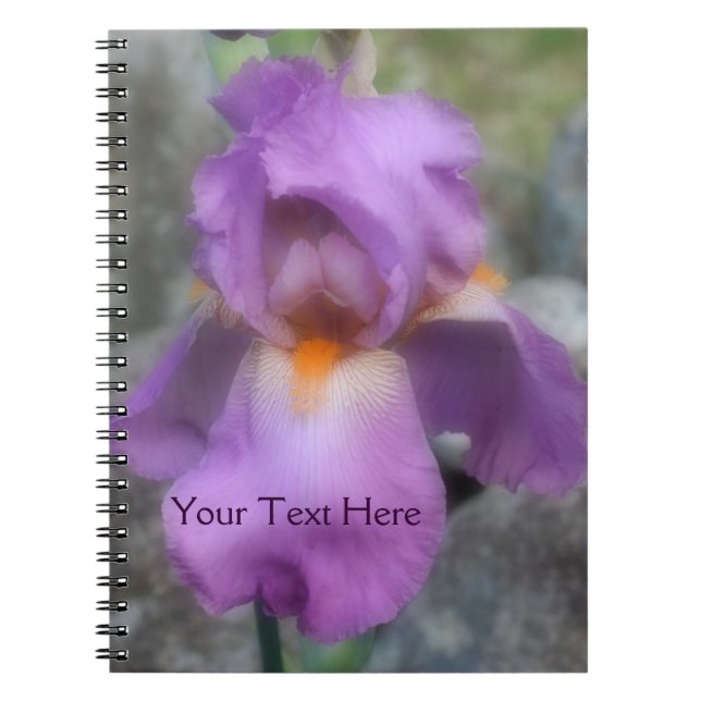 Lavender Bearded Iris Flower Nature Notebook (Front)