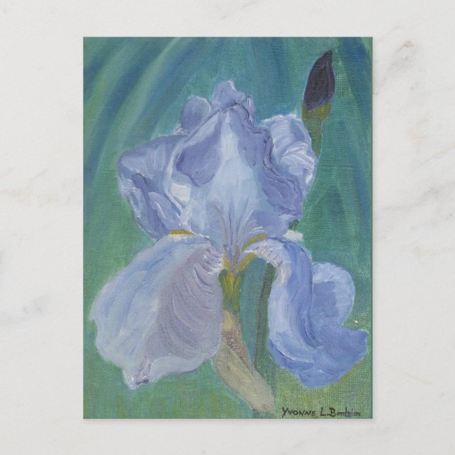 Lavender Bearded Iris Postcard (Front)
