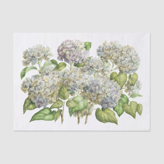 Lavender Blue Hydrangea Botanical Floral Bouquet Tissue Paper (Front)