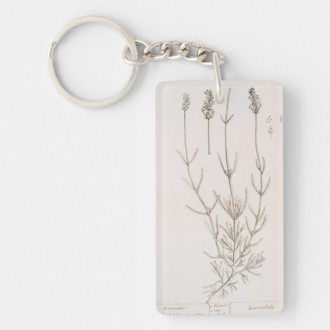 Lavender botanical drawing keychain (Front)