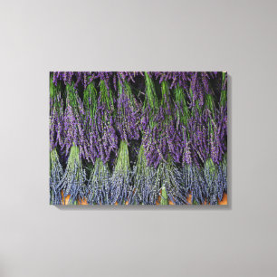 Lavender Bunches on Drying Rack Canvas Print