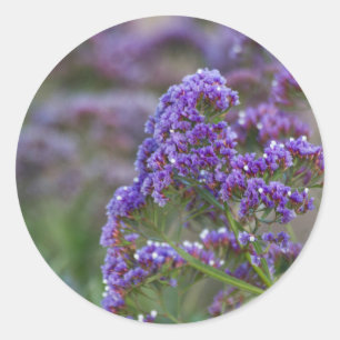 Lavender by the ocean classic round sticker
