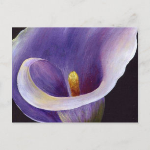 Lavender Calla Lily Postcard