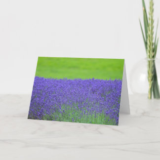 Lavender Card