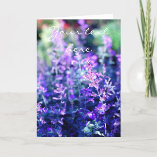 Lavender, Classic photography card