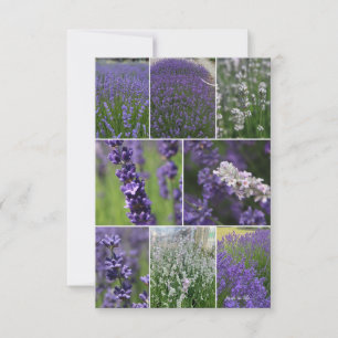 Lavender Collage 2 Card