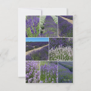 Lavender Collage  Card