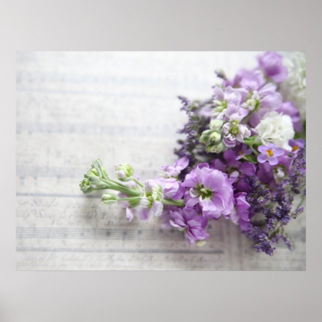 lavender-coloured flowers on old music poster (Front)
