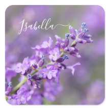 Lavender Custom Name 