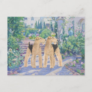 Lavender Dream Postcard