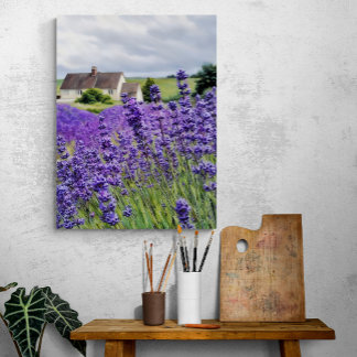 Lavender dreams canvas print