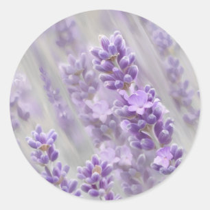 Lavender dreams. classic round sticker
