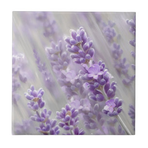 Lavender dreams. tile