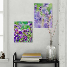 Lavender Dreamscapes : Un duo de purple sérénité