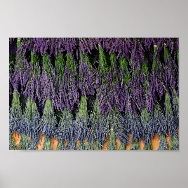 Lavender Drying Rack Poster (Front)