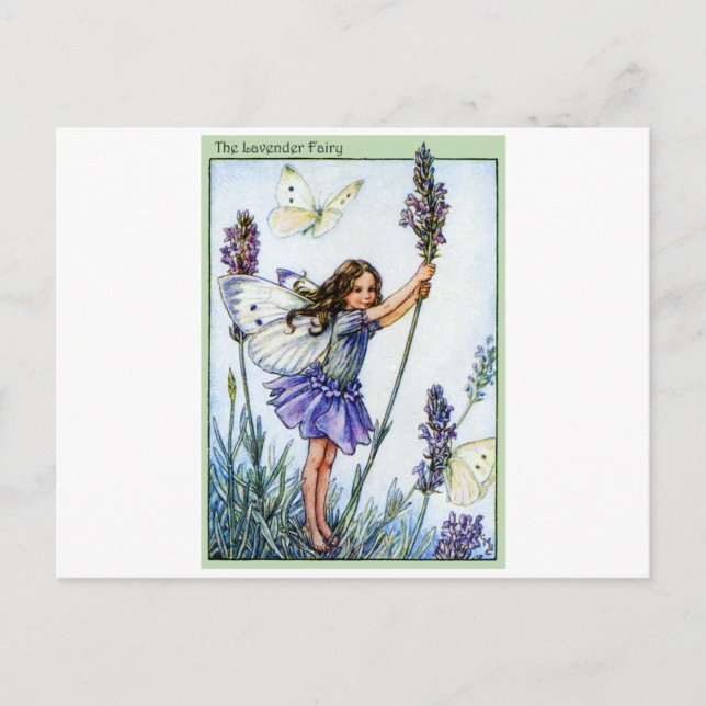 Lavender Fairy Postcard (Front)