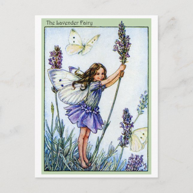 Lavender Fairy Postcard (Front)