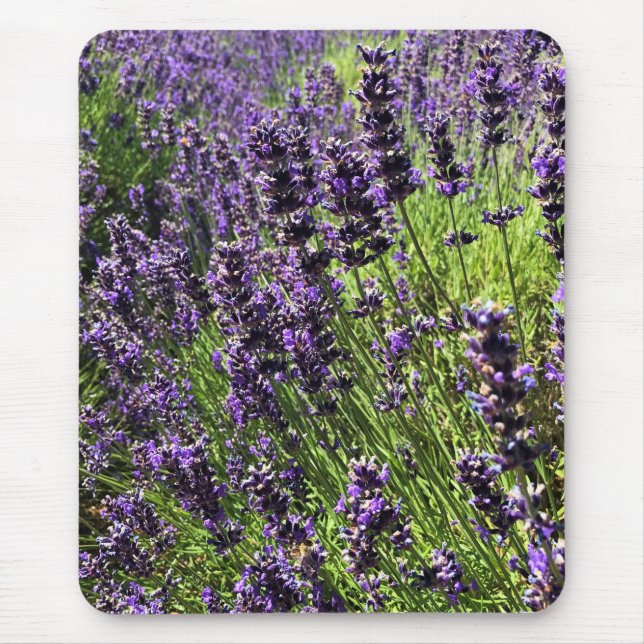 Lavender Farm Mouse Pad (Front)