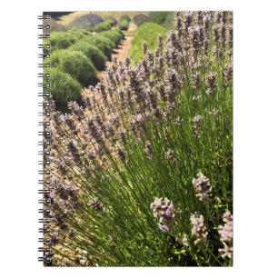 Lavender Farm Notebook