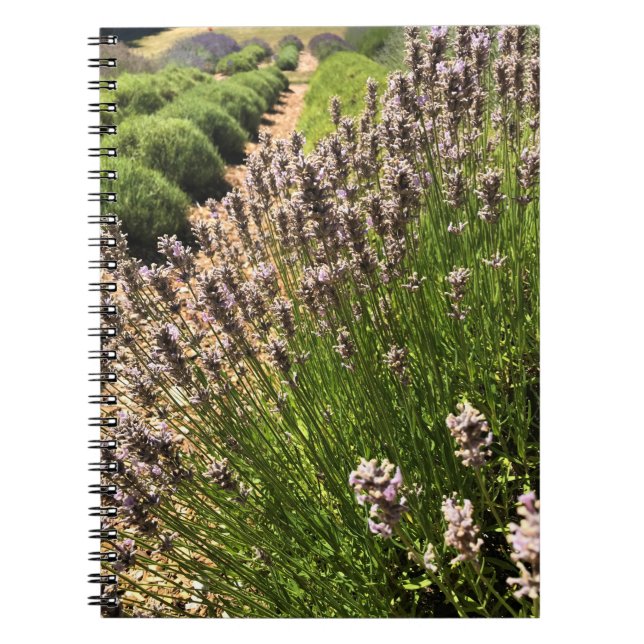 Lavender Farm Notebook (Front)