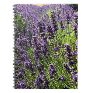 Lavender Farm Notebook