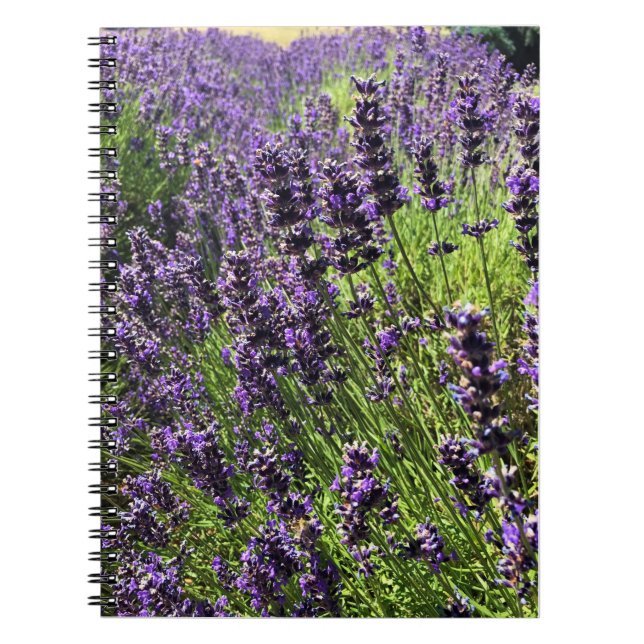 Lavender Farm Notebook (Front)