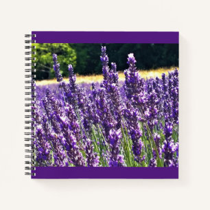 Lavender Farm Notebook