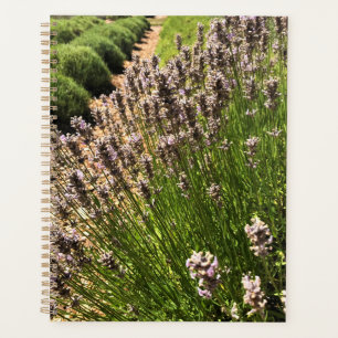 Lavender Farm Planner