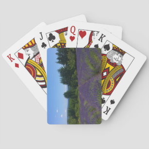 Lavender Farm Playing Cards