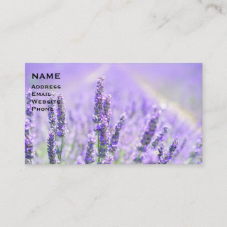 Lavender Field 1-26 Business Card