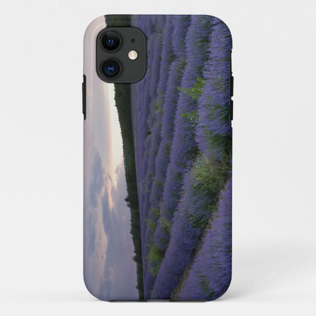 Lavender field at sunset Case-Mate iPhone case (Back)
