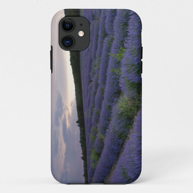 Lavender field at sunset Case-Mate iPhone case (Back)