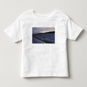 Lavender field at sunset toddler t-shirt