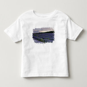 Lavender field at sunset toddler t-shirt