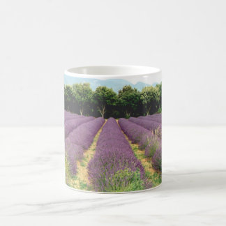 Lavender Field - Drome Provencal, France Coffee Mug
