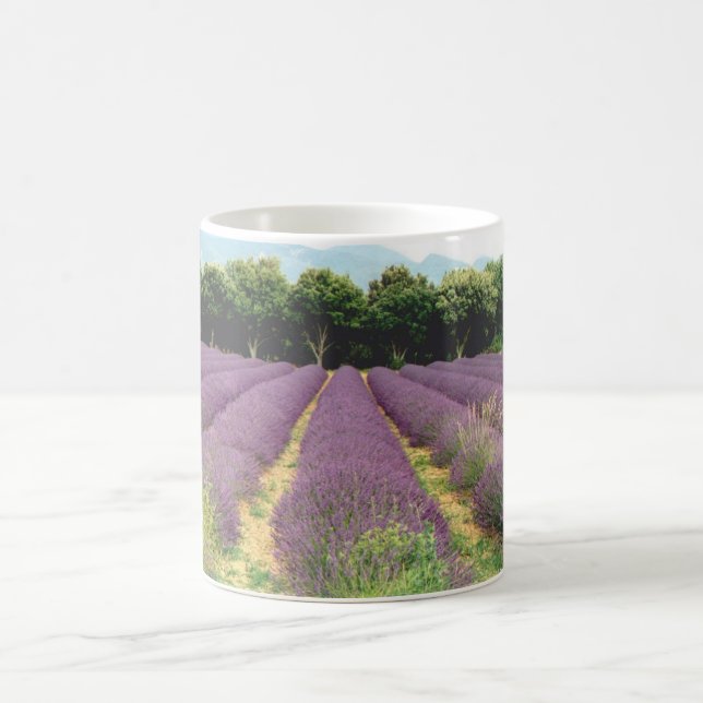 Lavender Field - Drome Provencal, France Coffee Mug (Center)