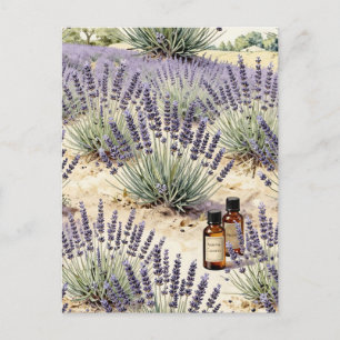 Lavender Field Essential Oil Watercolor Pattern Postcard