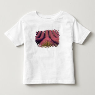Lavender field in High Provence, France 2 Toddler T-shirt